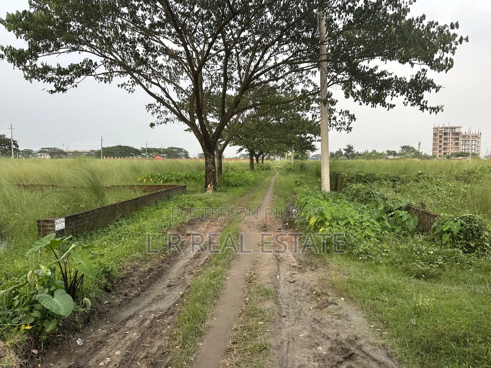 Block-N, 10 Katha, South-facing, Near Sports Complex, Bashundhara R/A in Basundhara