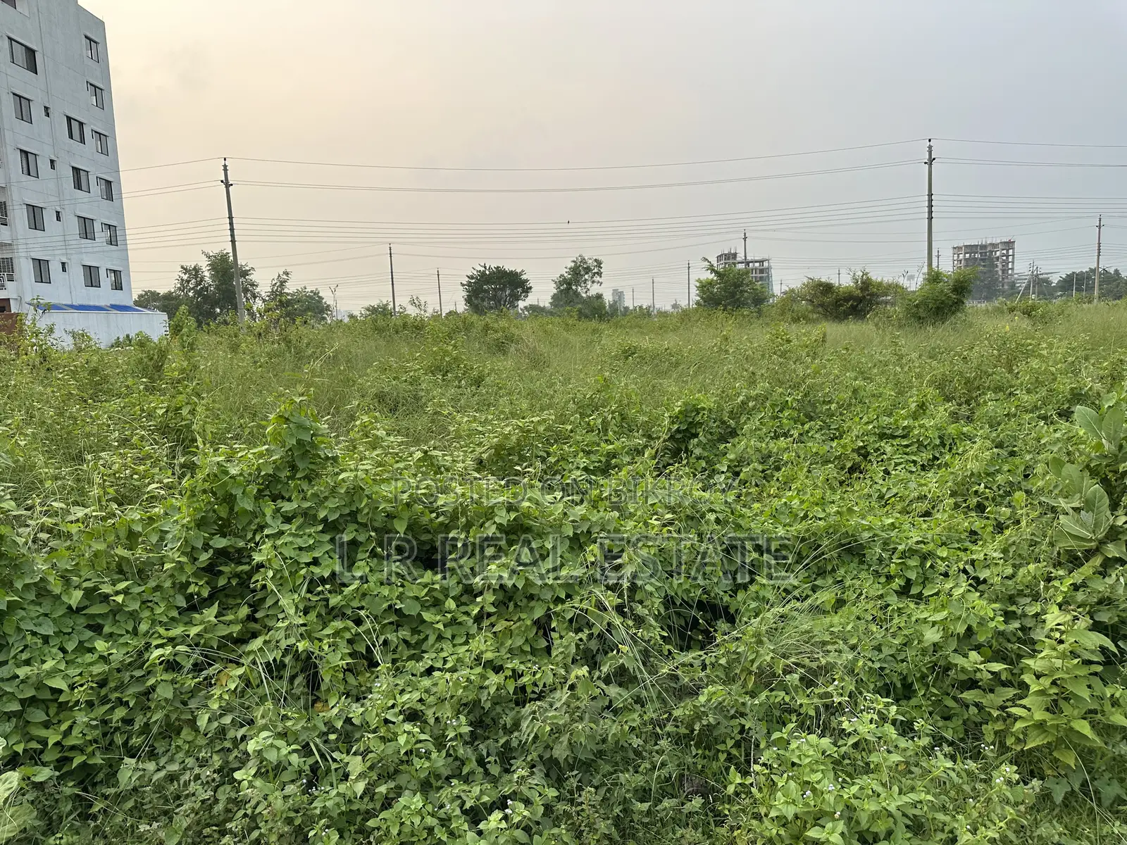 Block-N, 3 Katha, South-facing, Near Bashundhara Park, Urgent Sale in Basundhara