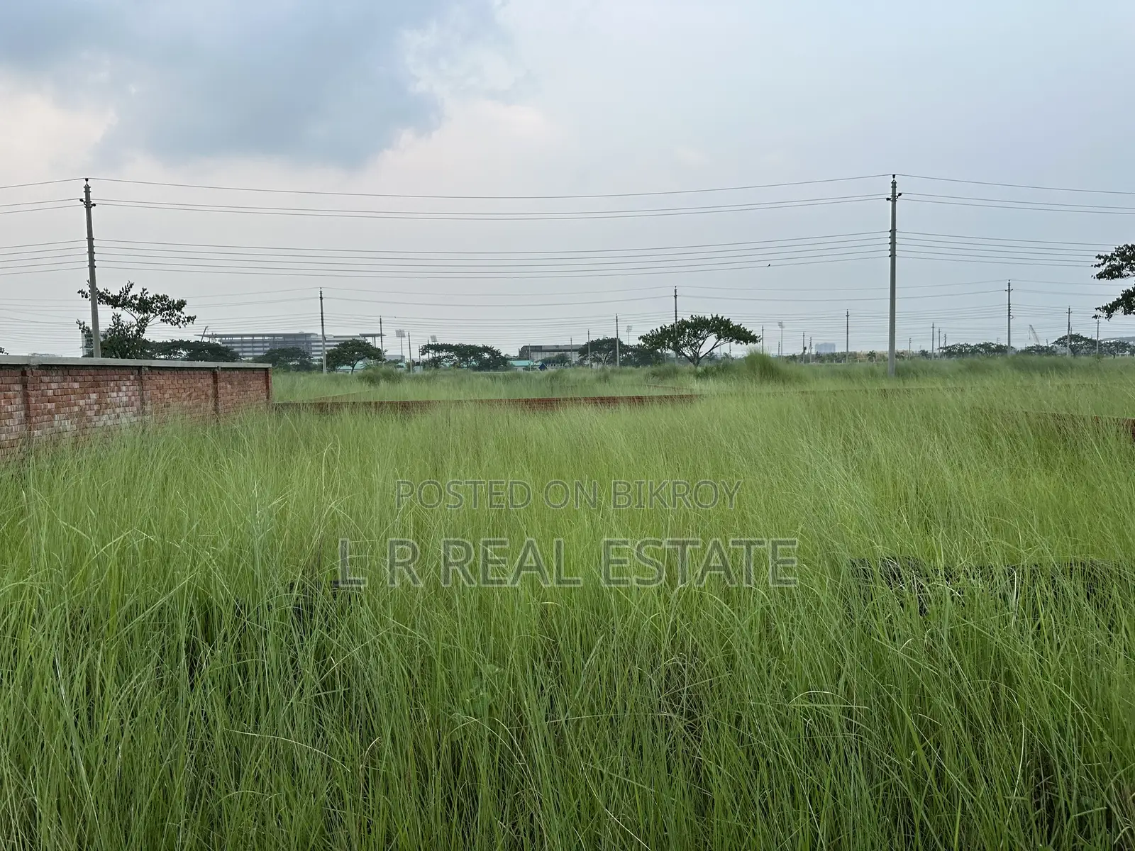 Block-P, 3-Katha, South-facing, Urgent Sale, Bashundhara R/A in Basundhara