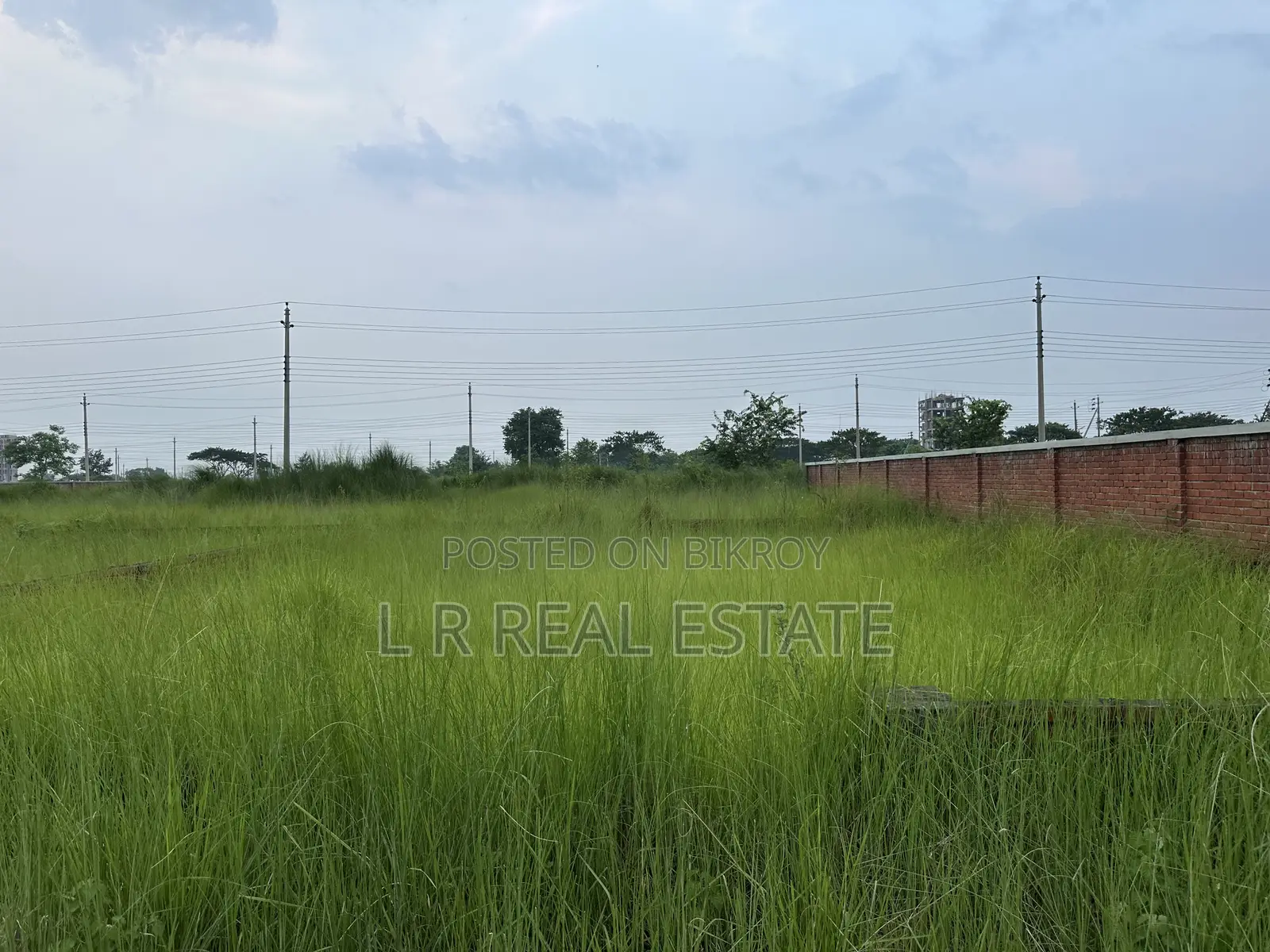 Block-P, 3-Katha, South-facing, Urgent Sale, Bashundhara R/A in Basundhara