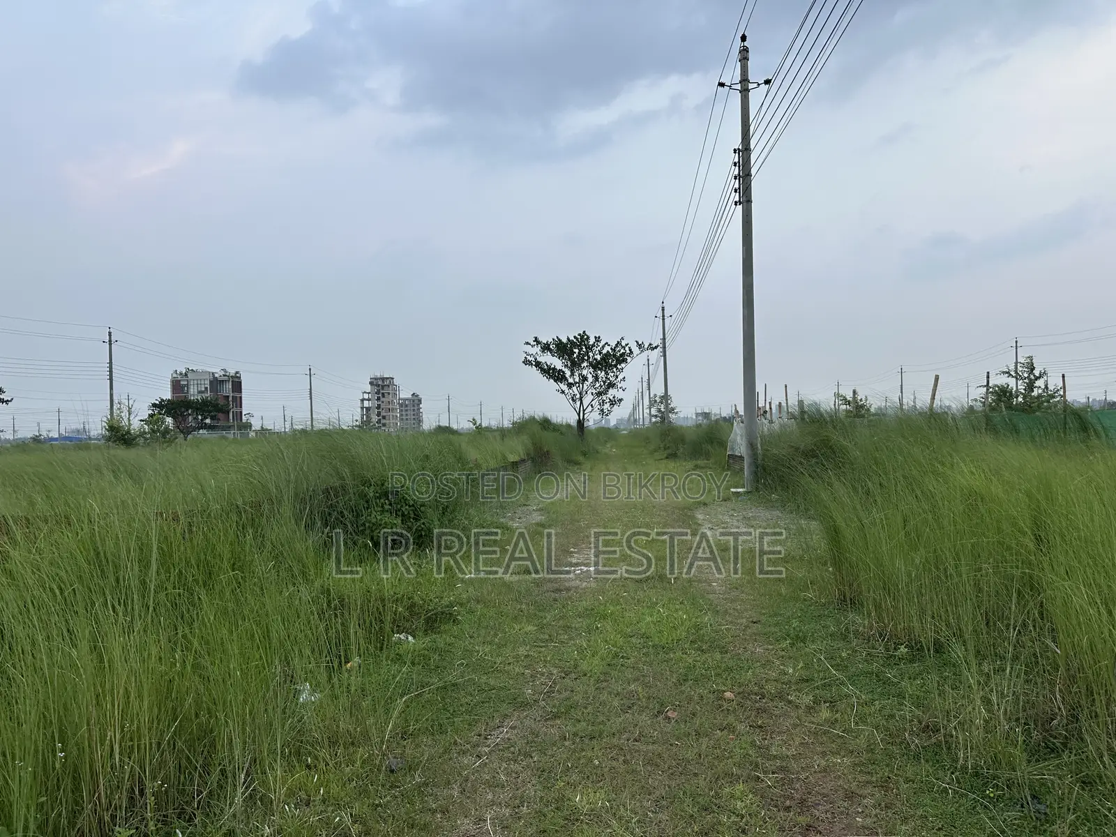 Block-P, 3-Katha, South-facing, Urgent Sale, Bashundhara R/A in Basundhara
