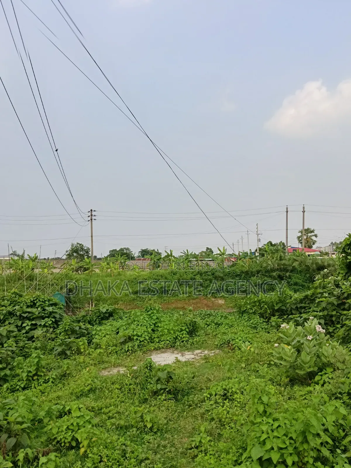Urgent Block-P, North Facing 5 Katha Plot Sale in Basundhara