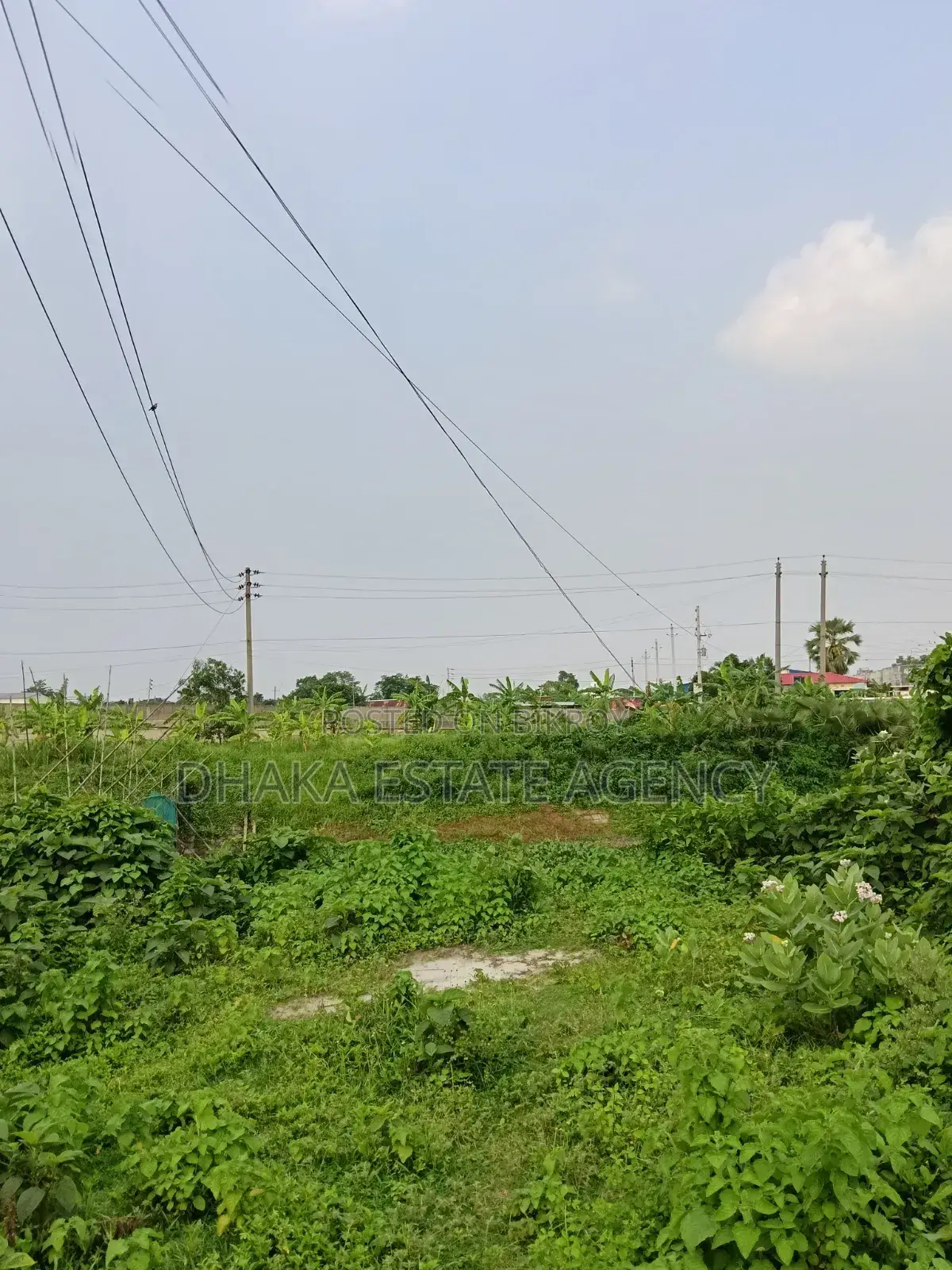Urgent Block-P, North Facing 5 Katha Plot Sale in Basundhara
