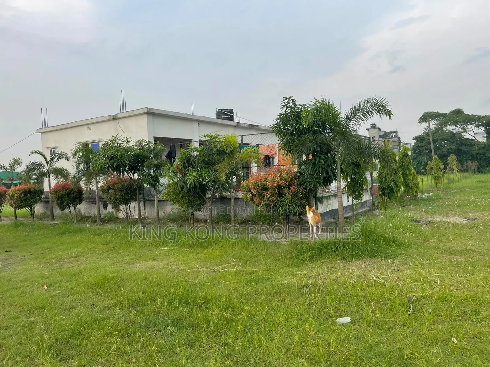 Get a ready plot near Army Housing Jolsiri beside Bashundhara in Purbachal