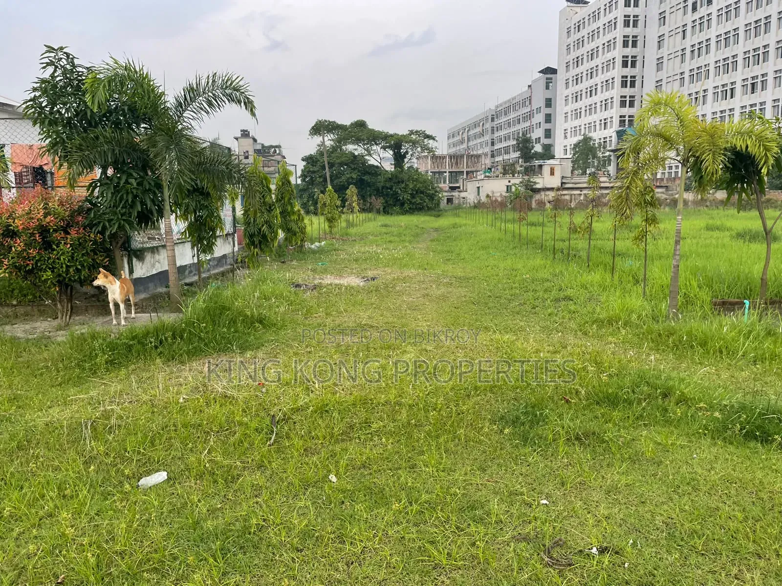 Get a ready plot near Army Housing Jolsiri beside Bashundhara in Purbachal