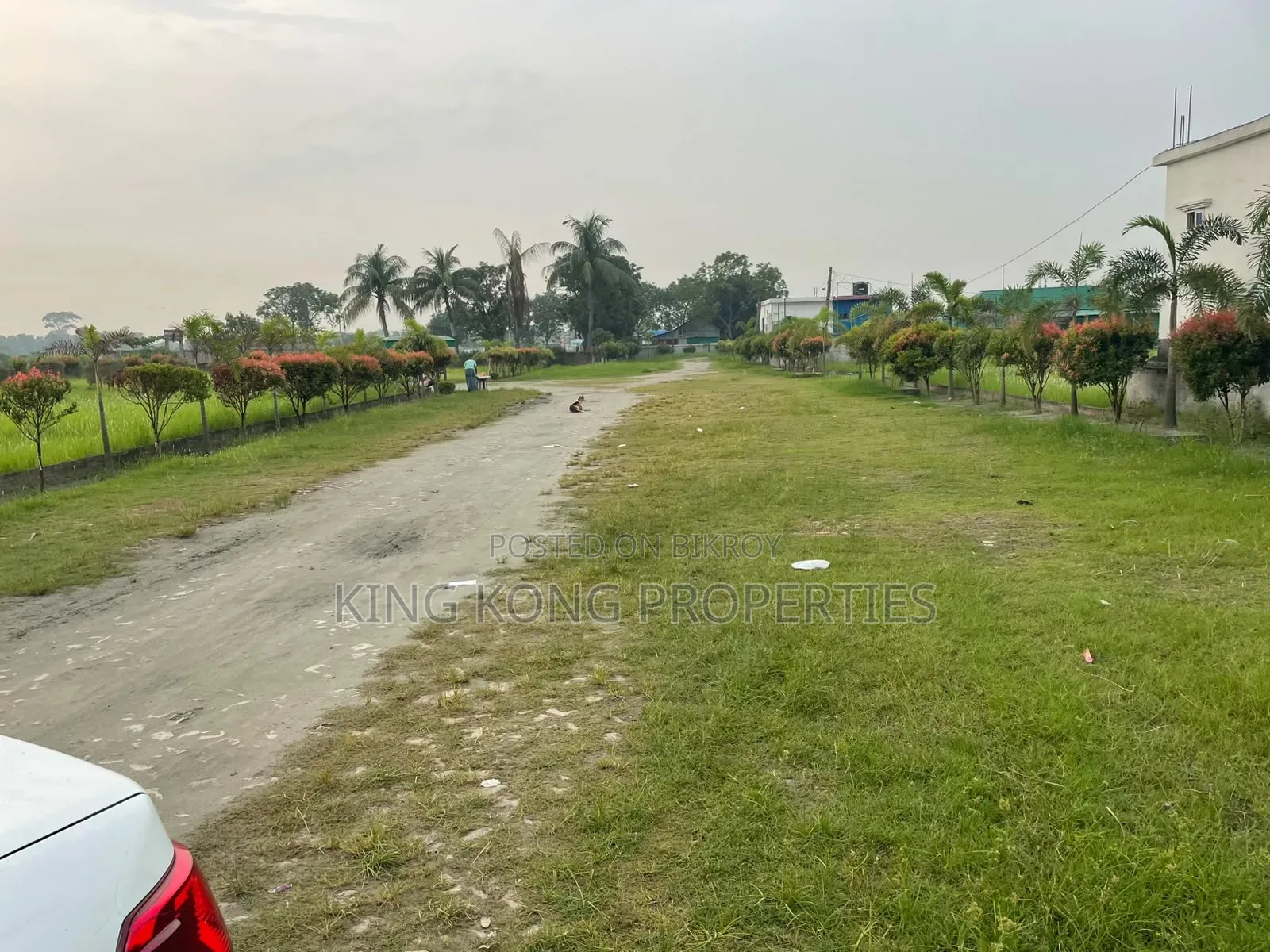 Get a ready plot near Army Housing Jolsiri beside Bashundhara in Purbachal
