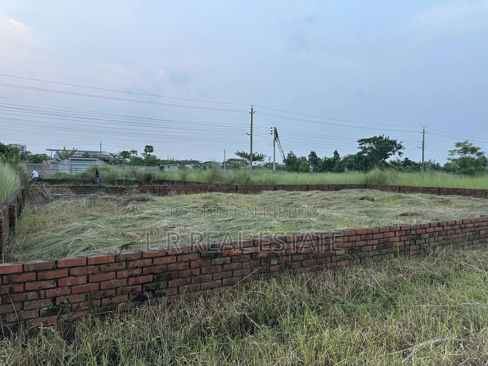 Block-P, (3+3)=6 Katha, Near- Sports Complex, Bashundhara R/A in Bashundhara City
