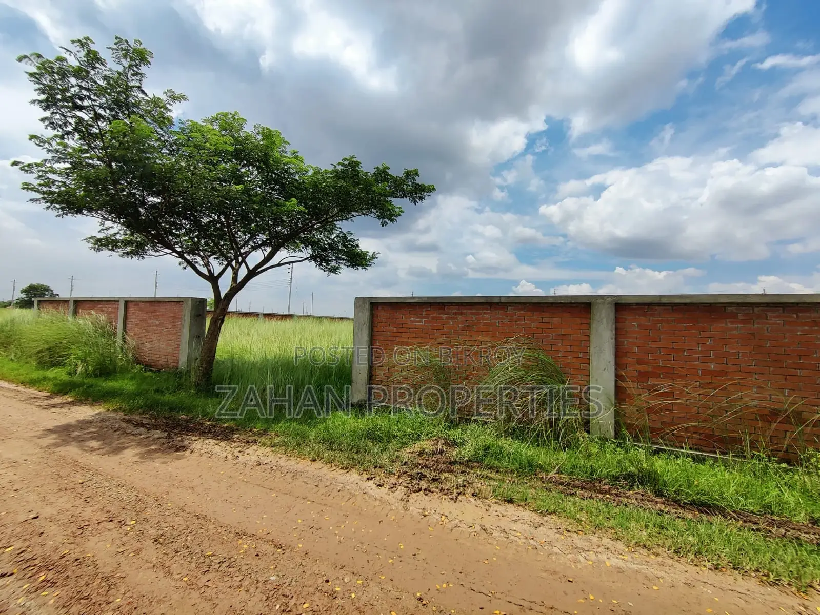 P Block 8 Katha Plot Sell in Basundhara