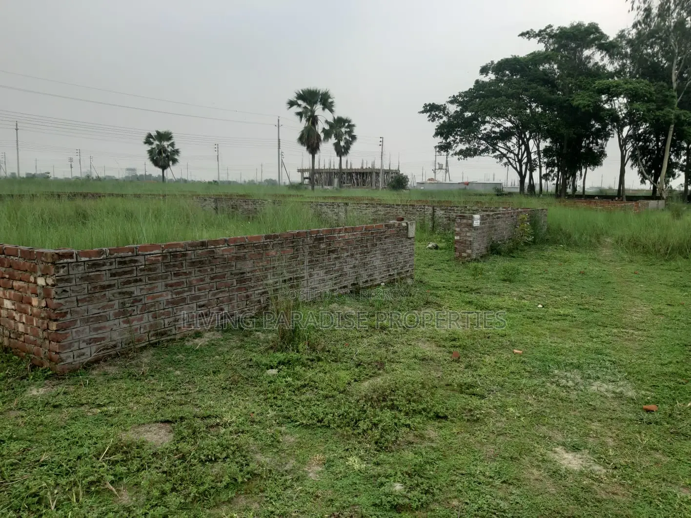 P-Block || 1st Part Plot || Very Closely N Block Bazar Partidin in Basundhara