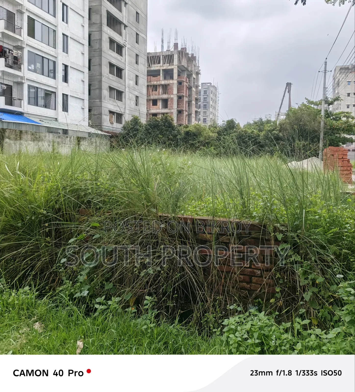 N Block 5-Katha, South Facing in Basundhara