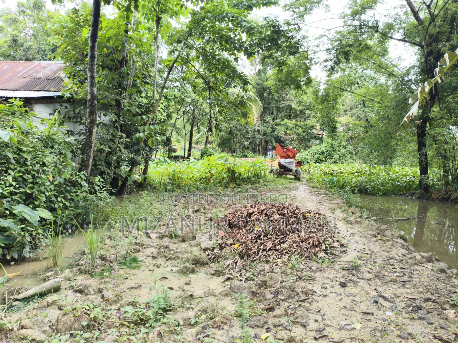 Urgent Land Sale | Ready for House Construction! in Golapganj