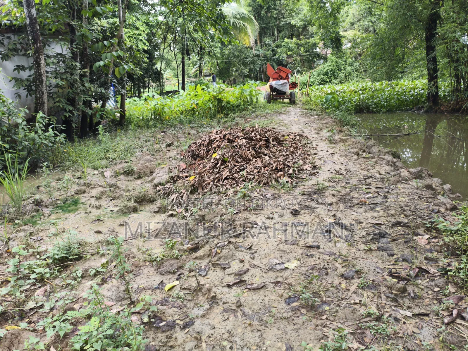Urgent Land Sale | Ready for House Construction! in Golapganj
