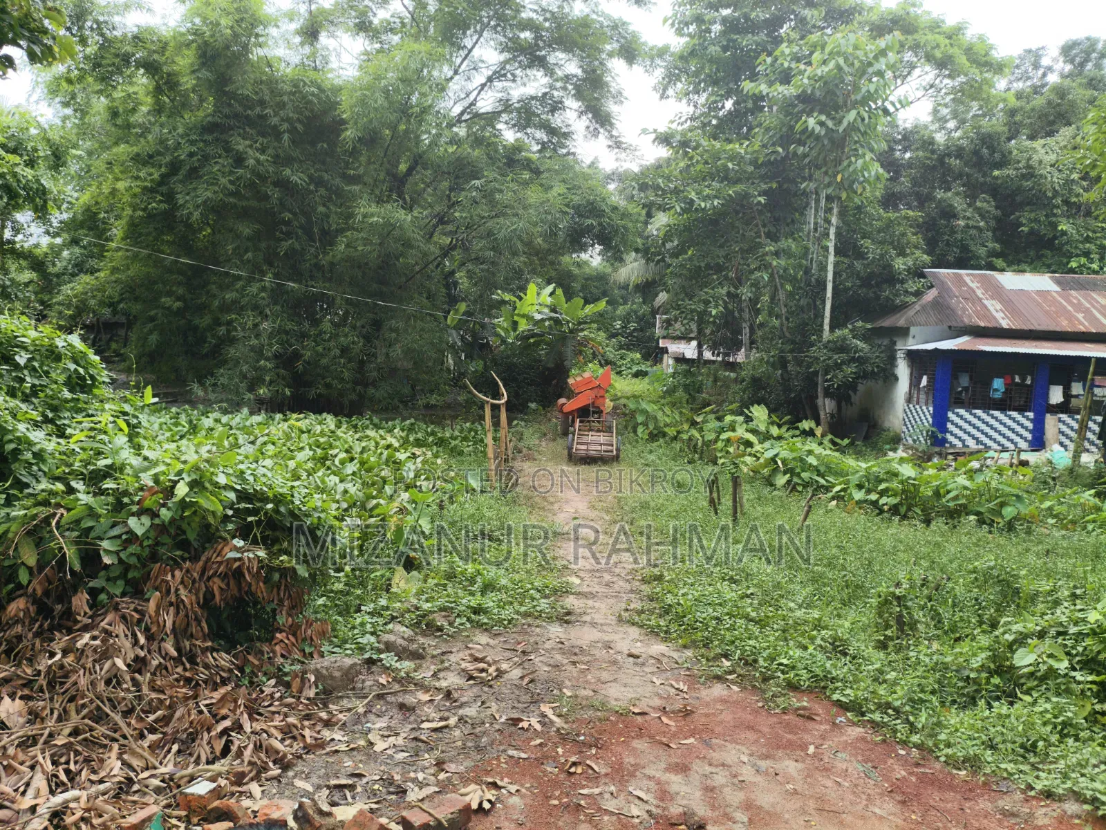 Urgent Land Sale | Ready for House Construction! in Golapganj