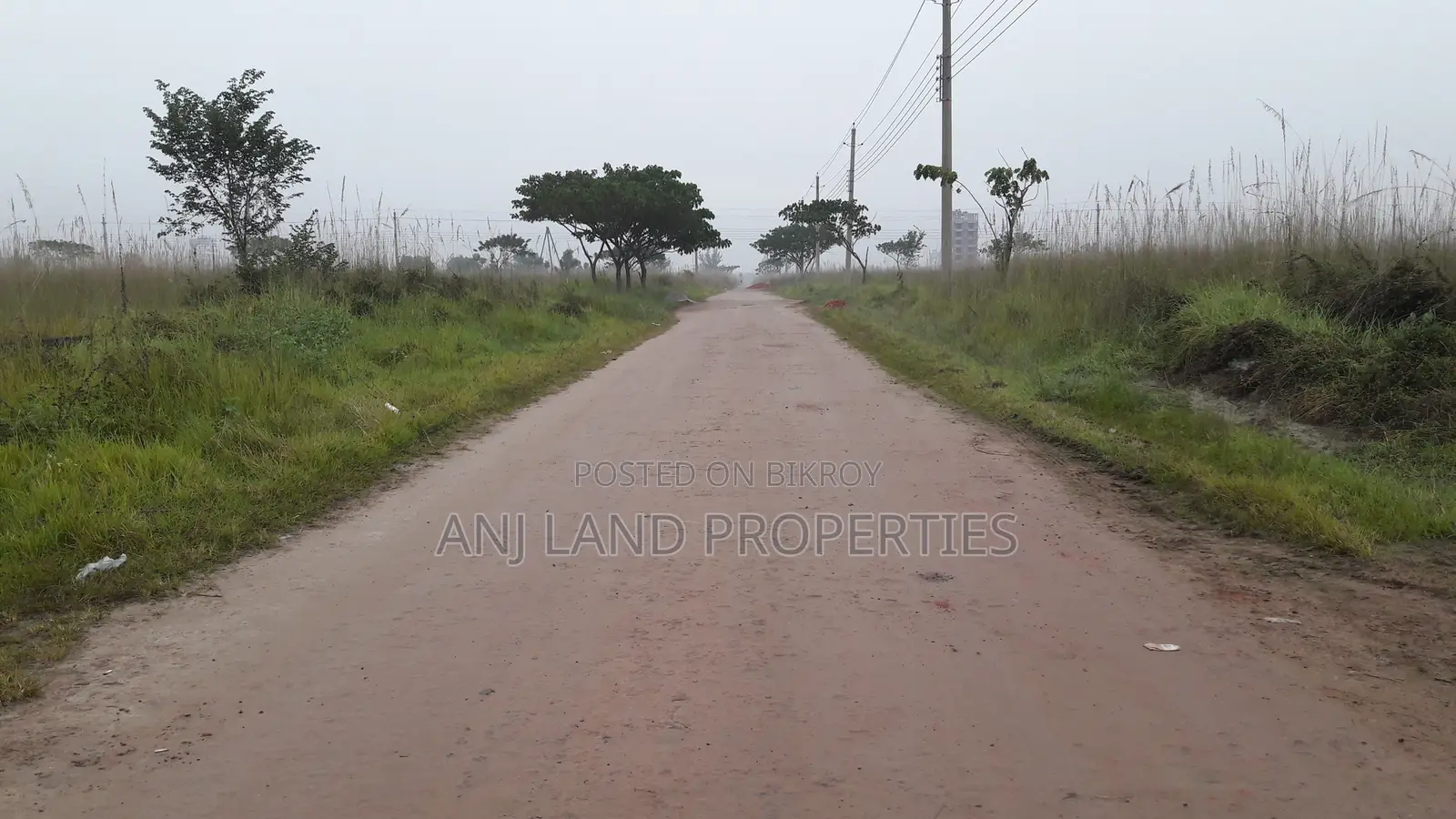 N-Block South Face 10-Katha Plot Sale in Basundhara