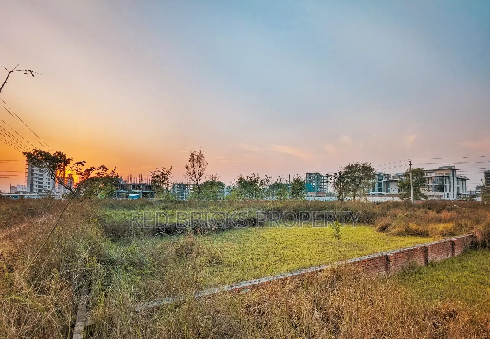 M Block 5 Katha South Facing Plot Sell in Basundhara