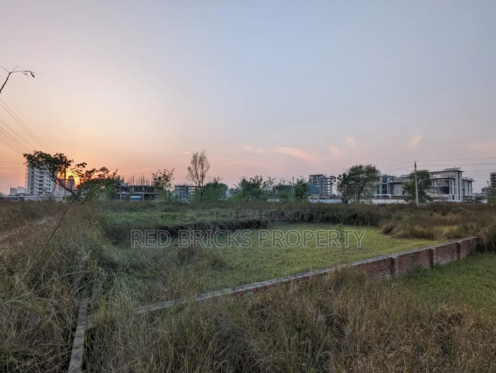 M Block 5 Katha South Facing Plot Sell in Basundhara