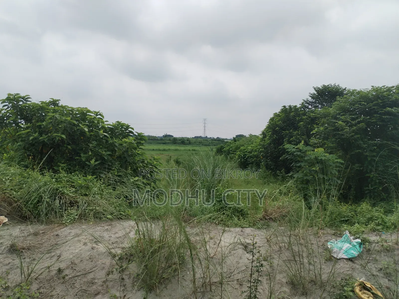 Plot for Sale Near School in Bosila
