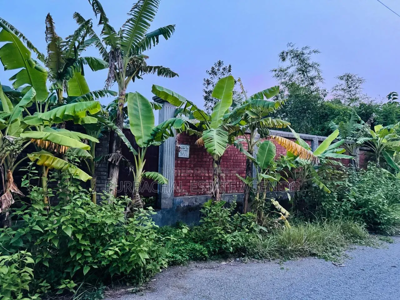 Rajuk Purbachal South-Facing 10 Katha Lakeview Plot in Purbachal