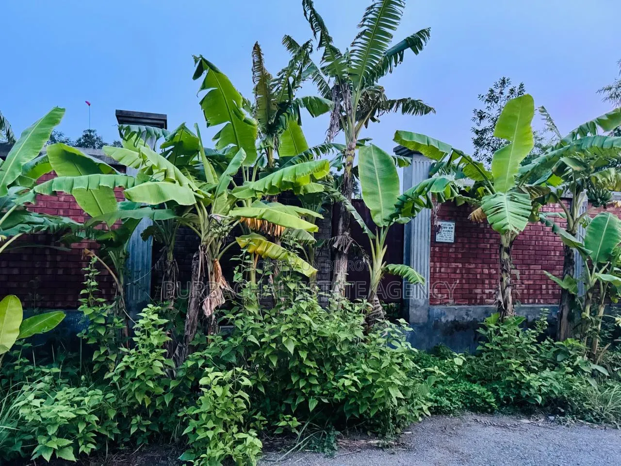Rajuk Purbachal South-Facing 10 Katha Lakeview Plot in Purbachal