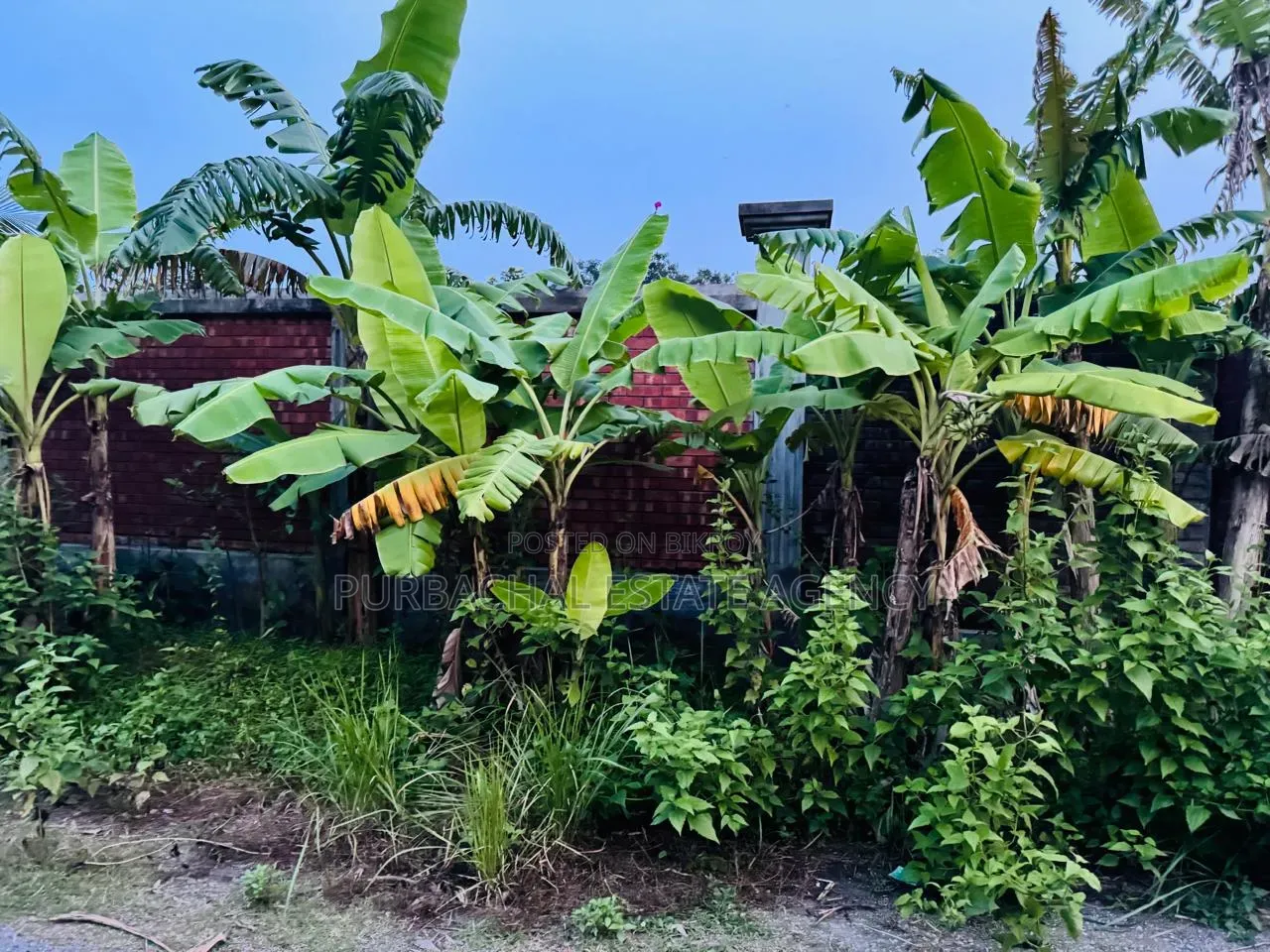 Rajuk Purbachal South-Facing 10 Katha Lakeview Plot in Purbachal