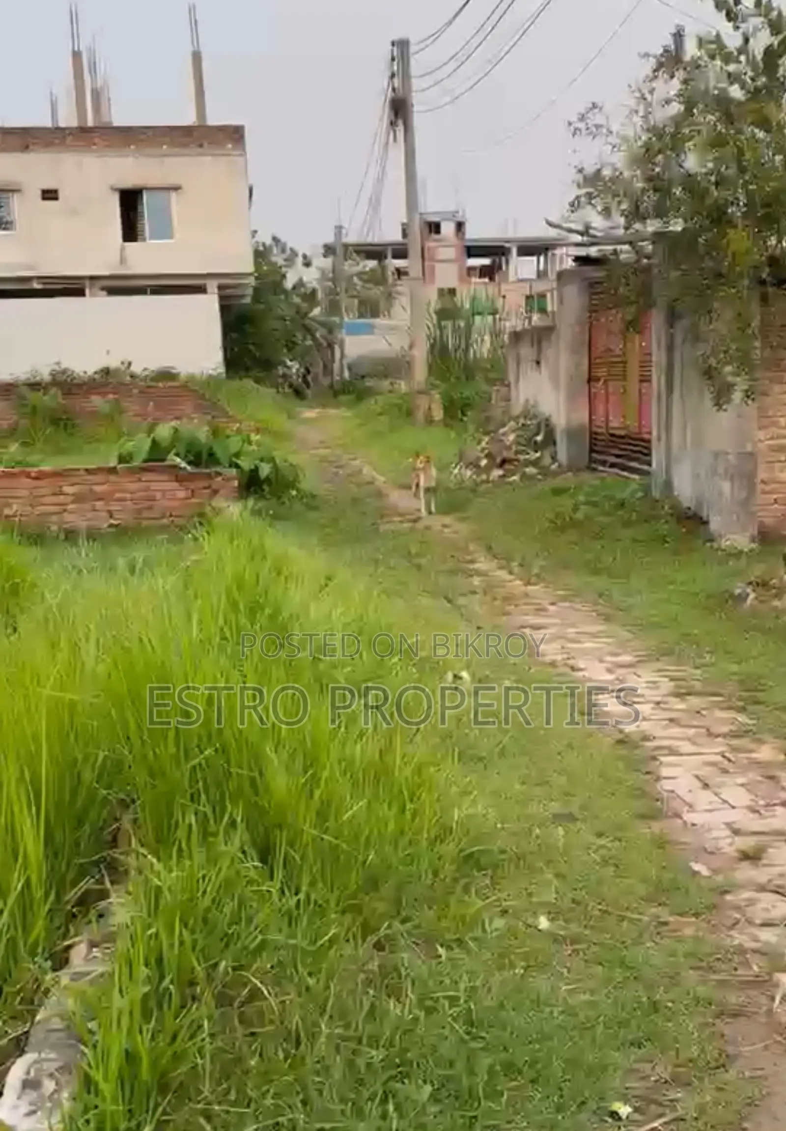 3.5 decimal land for sale on the west side of Mujgunni Navy School in Khulna