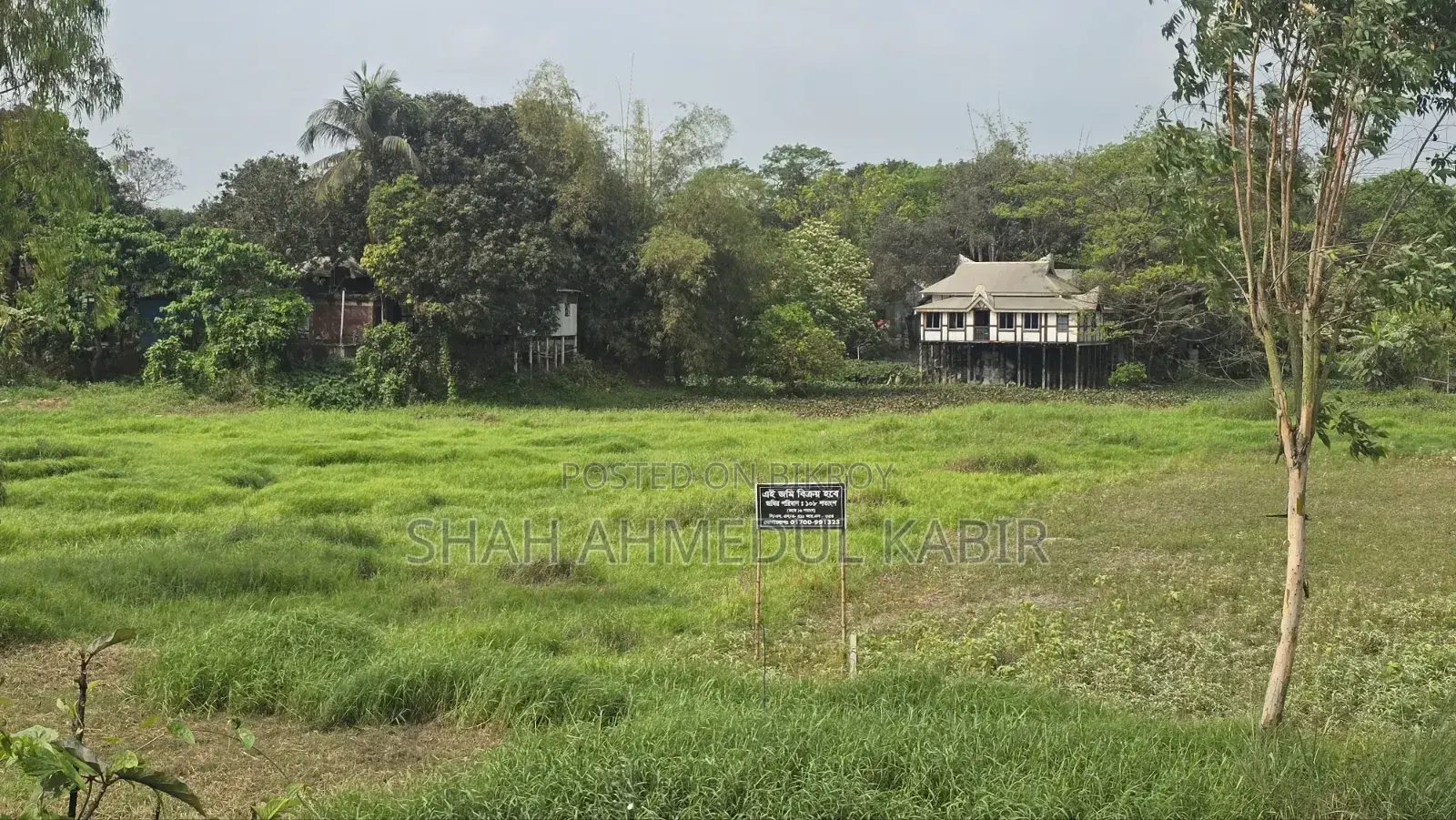16 decimals of land in Munshiganj in Sreenagar