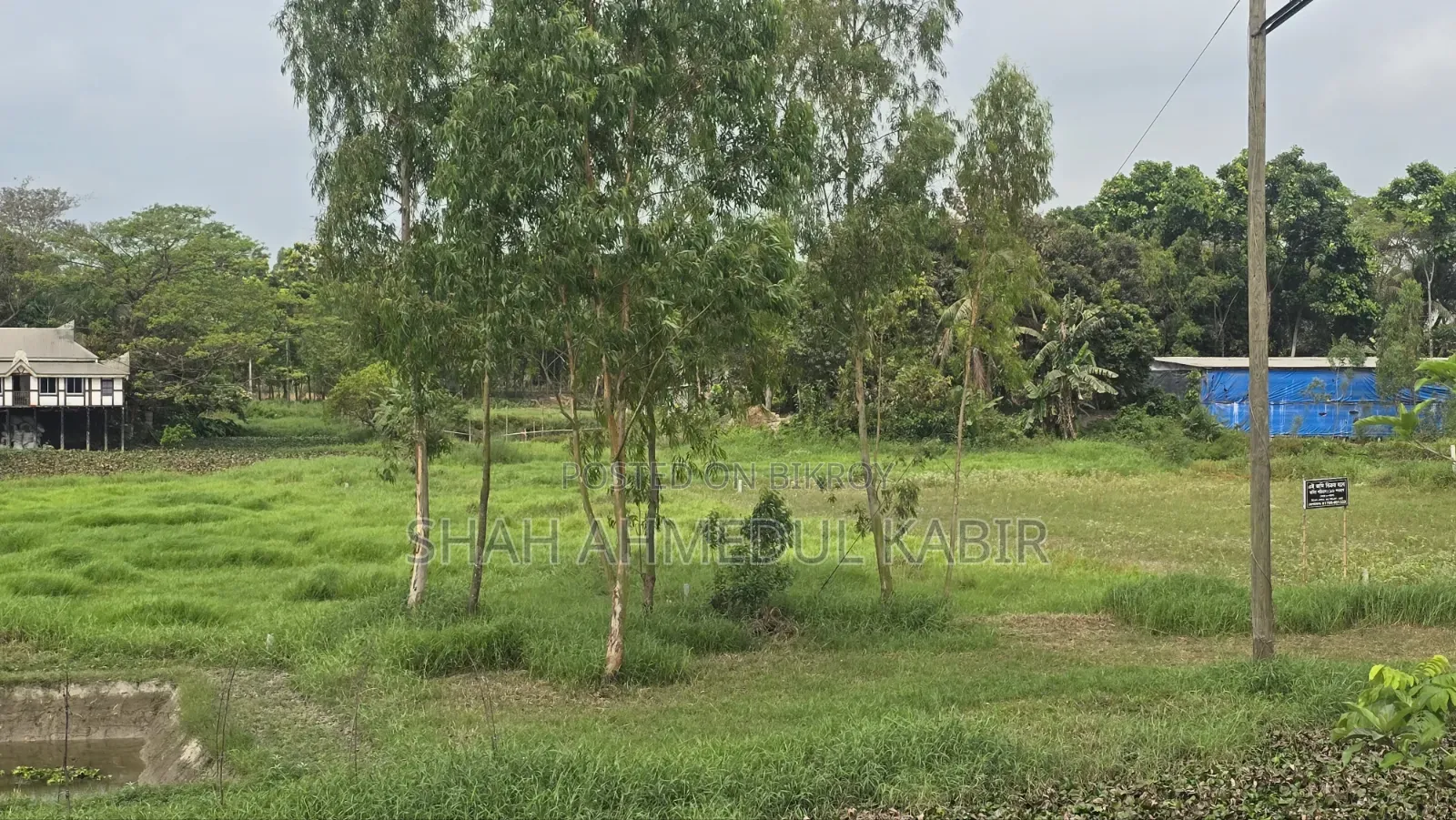 16 decimal land in Munshiganj in Sreenagar