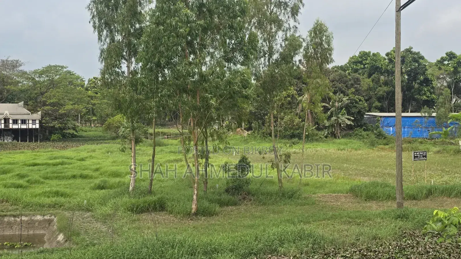 16 decimals of land in Munshiganj in Sreenagar