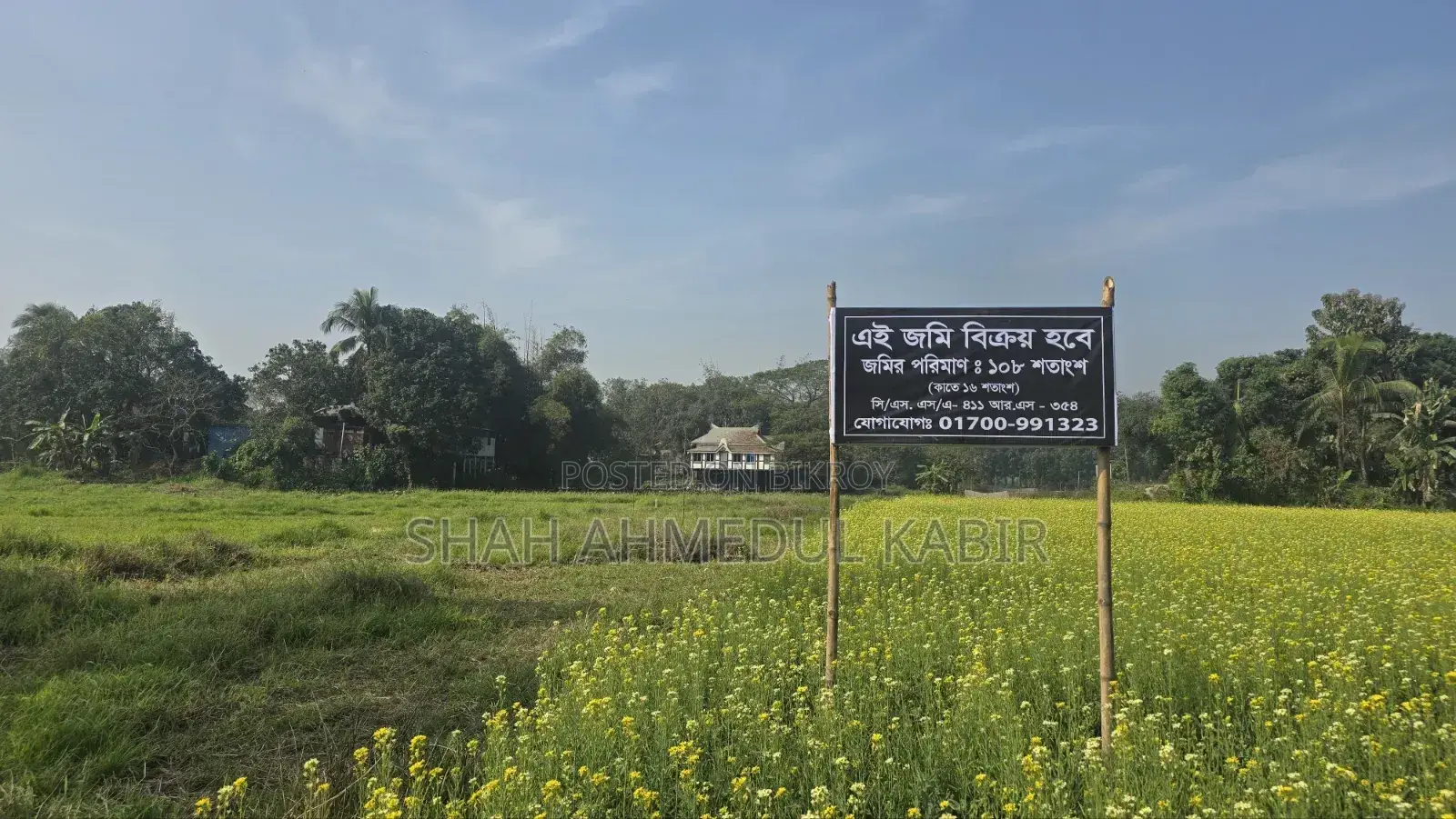 16 decimals of land in Munshiganj in Sreenagar
