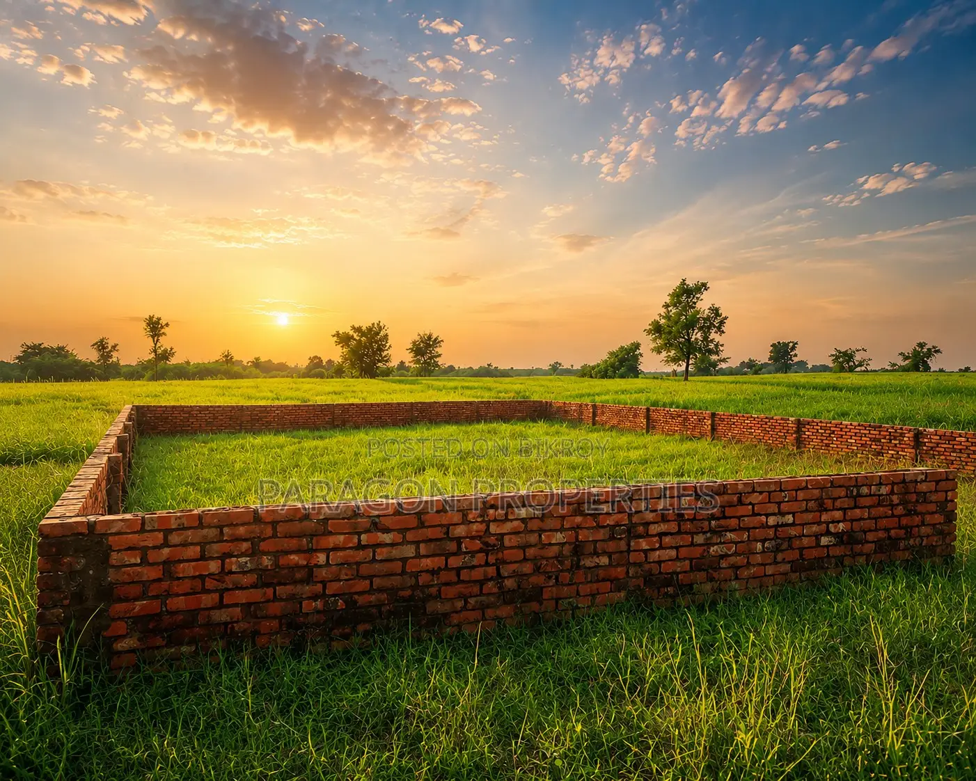 5 Katha Plot for Sale on a 40-Ft Road in P Extension Block in Basundhara