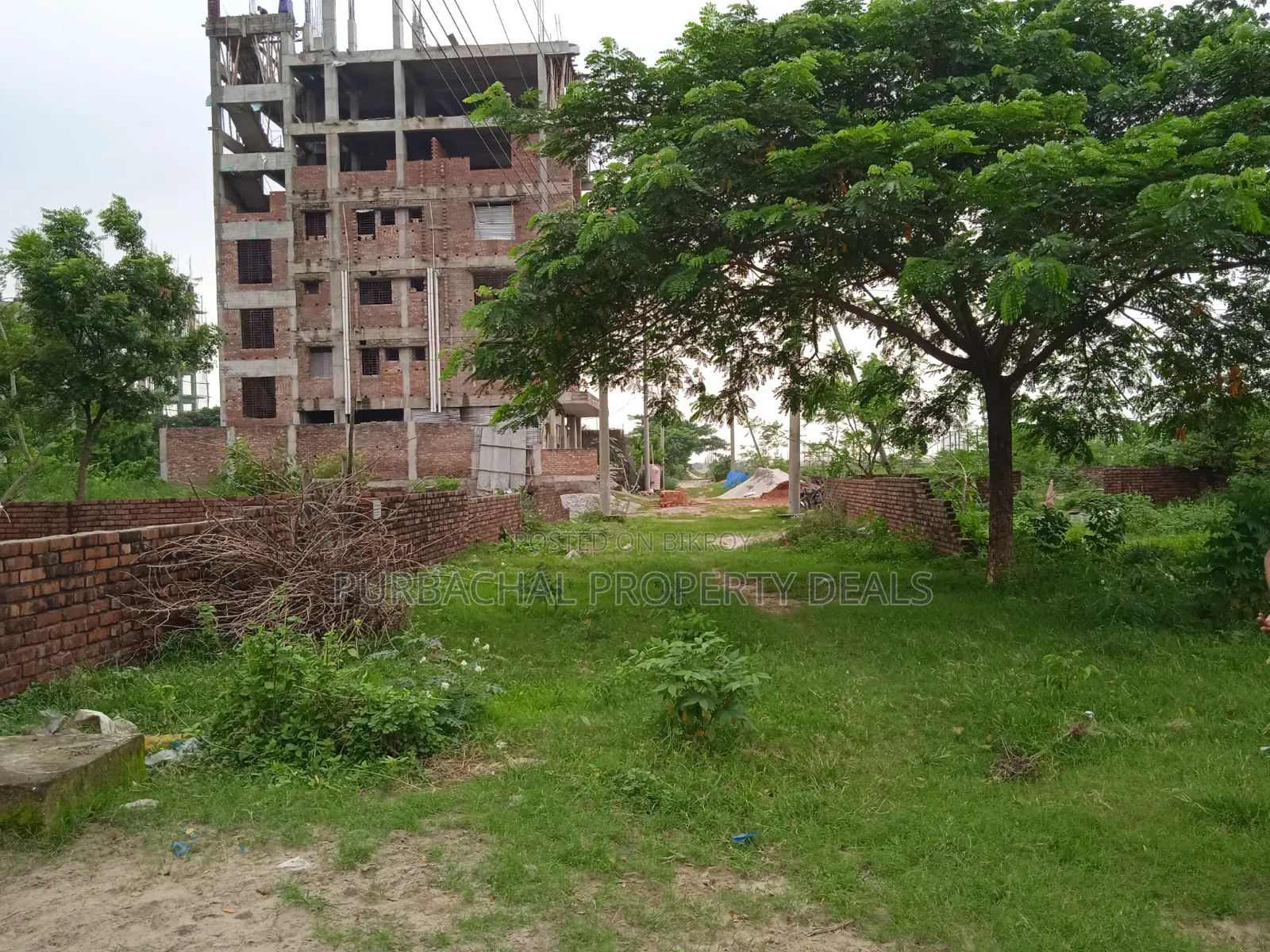 4 Katha South-Facing Premium Plot for Sale in Bashundhara Block M in Basundhara