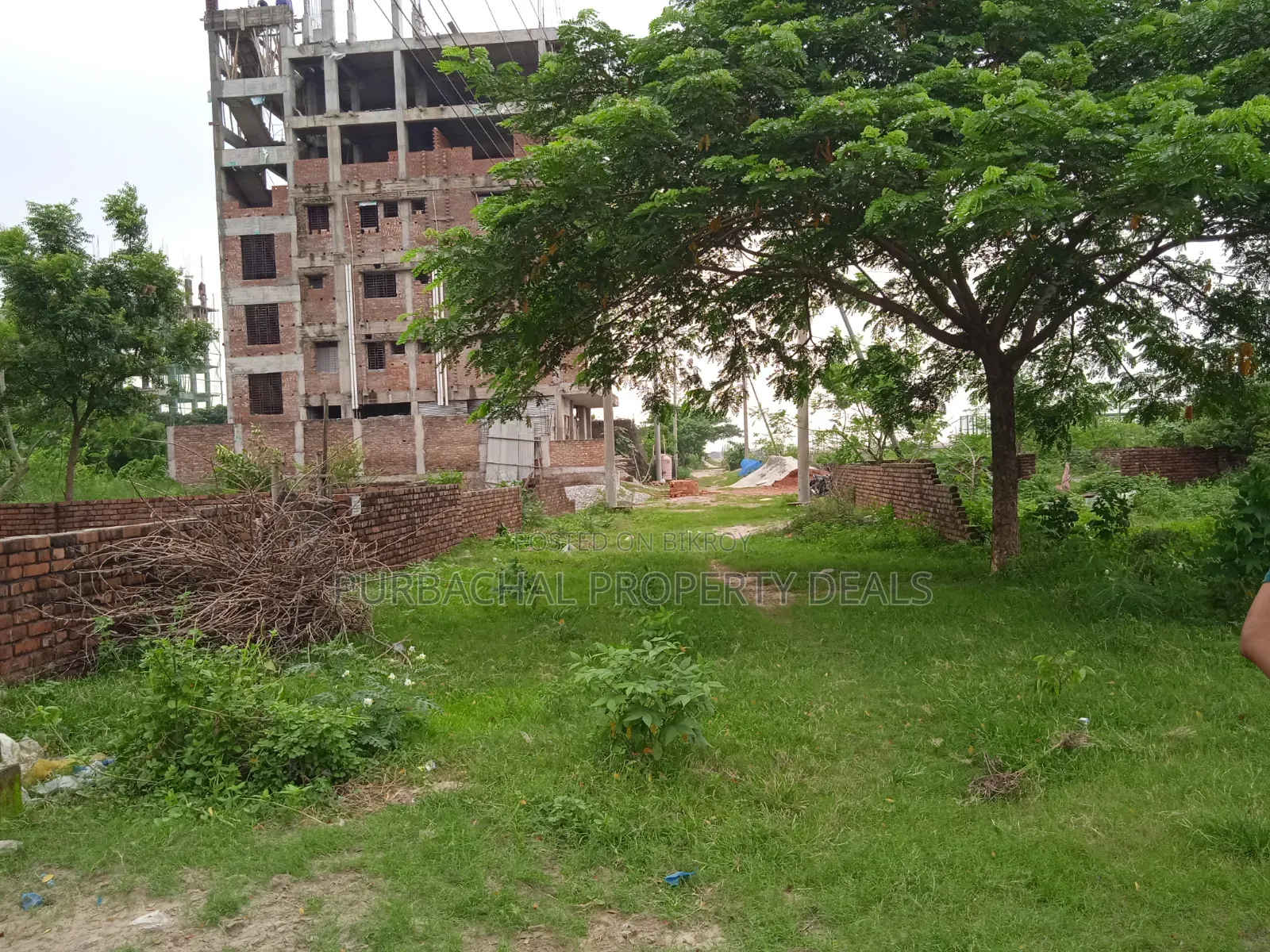 4 Katha South-Facing Premium Plot for Sale in Bashundhara Block M in Basundhara