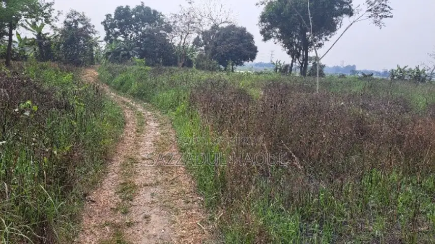 65 Katha land adjacent to 30' road for sale in Rupganj (Narayanganj) in Rupganj