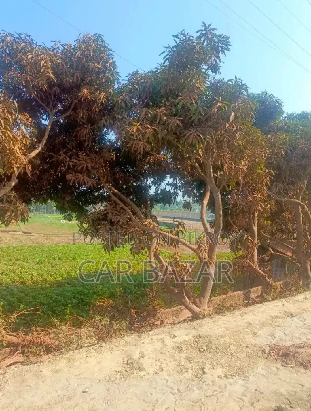 Cox Bazar Marine Drive Road Inani Land Sale in Cox's Bazar Sadar