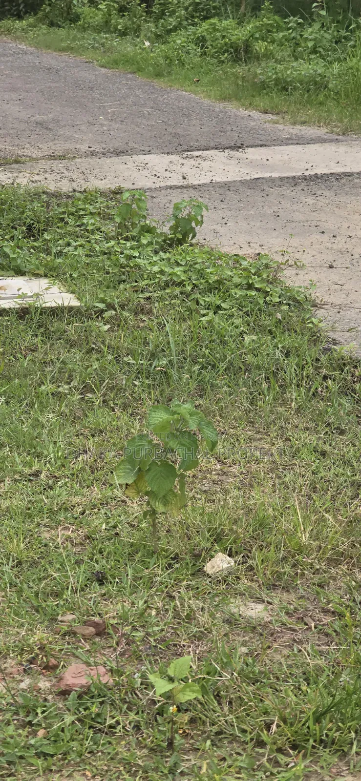 RAJUK Purbachal 10 Katha South-Facing Plot for Sale in Purbachal