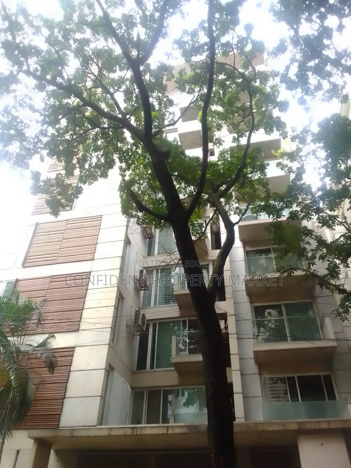 Furnished 3-Bedroom Apartment in Gulshan for Rent in Gulshan
