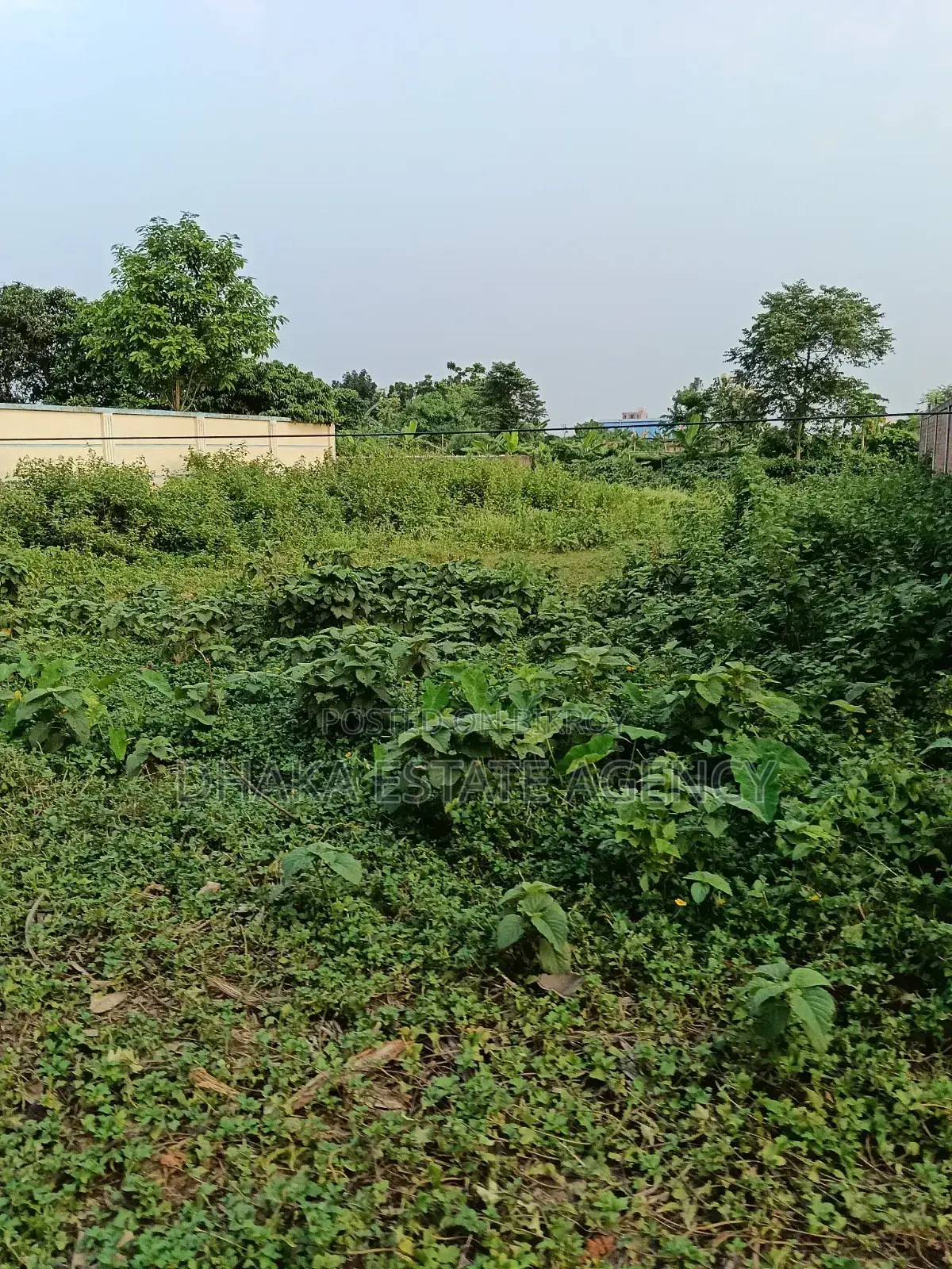 Sector-17, East Facing 3 Katha Plot Sale in Purbachal