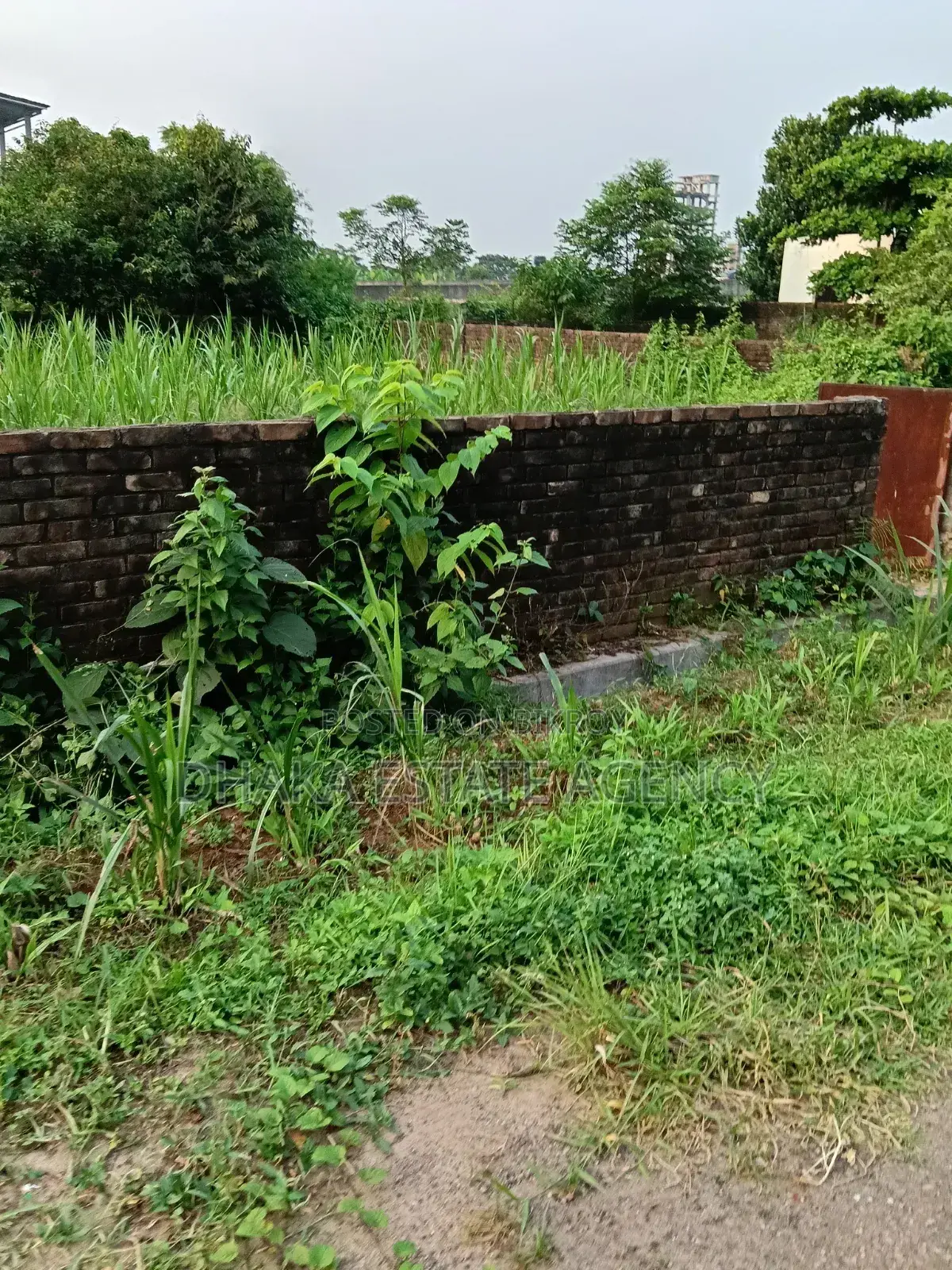 Sector-17, East Facing 3 Katha Plot Sale in Purbachal