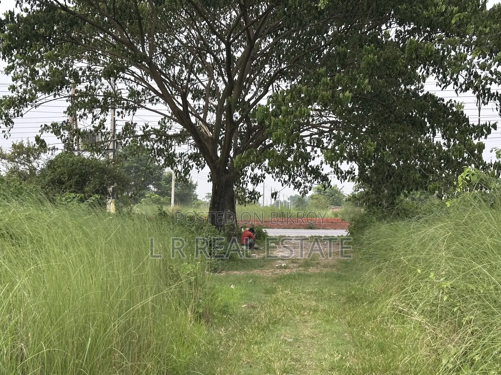 Block-N, 5-Katha, South-Face Plot Urgent Sell, Bashundhara R/A in Bashundhara City