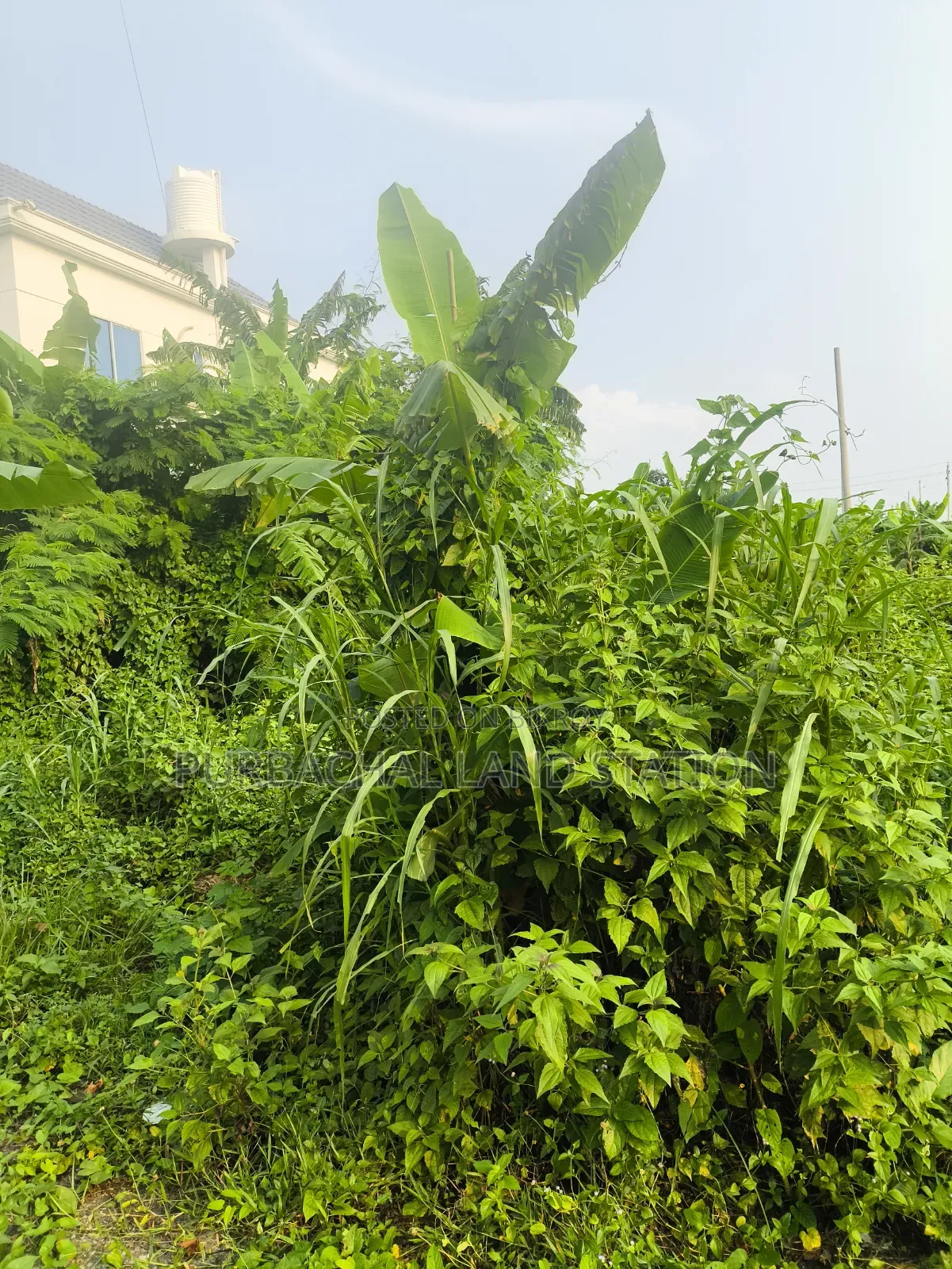 Sector: 25, Prime Location 3 Katha Plot Urgent Sale, Purbachal. in Purbachal
