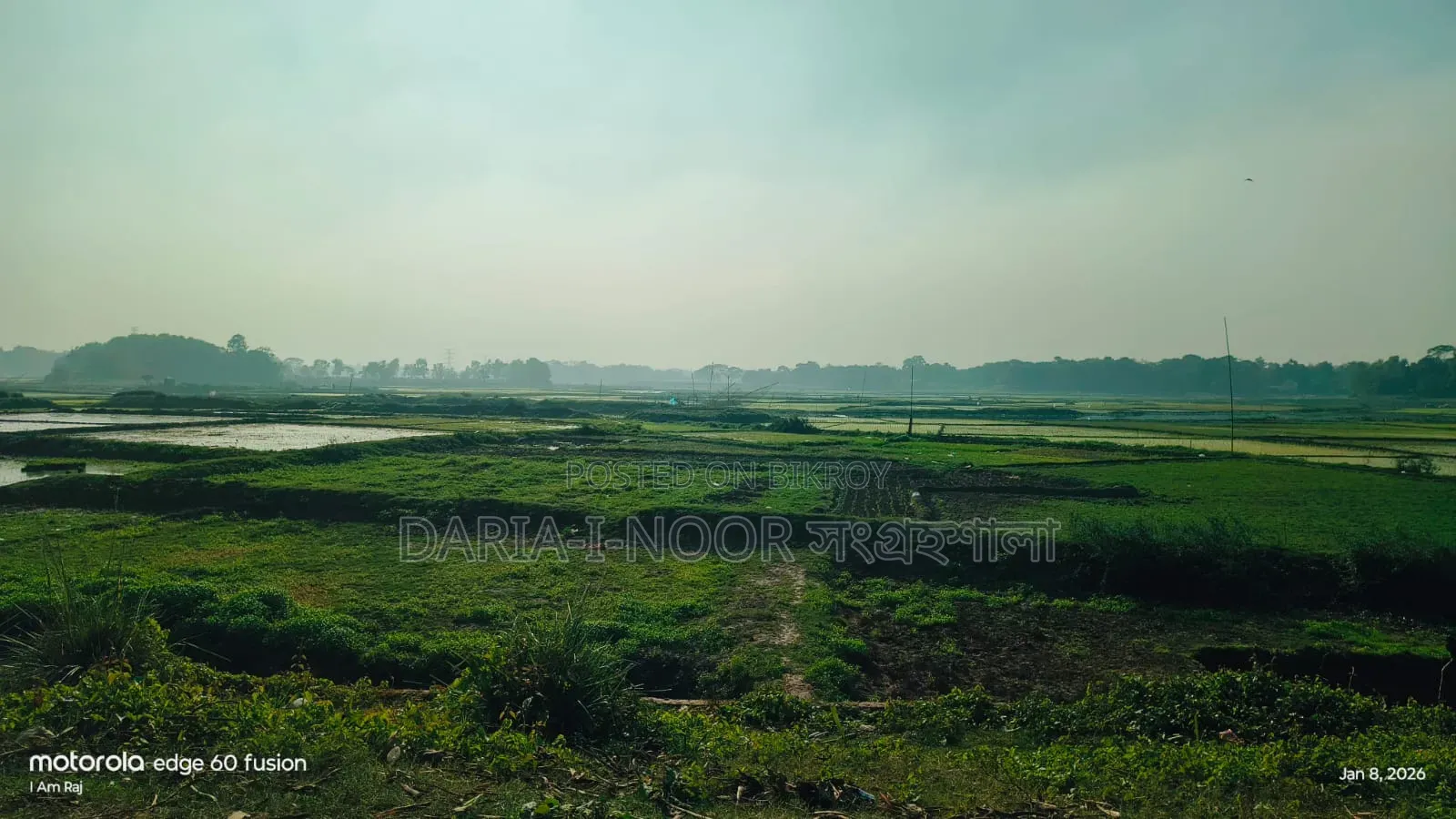 100 Bigha land for sale in Ward No. 41, Gazipur in Gazipur Sadar