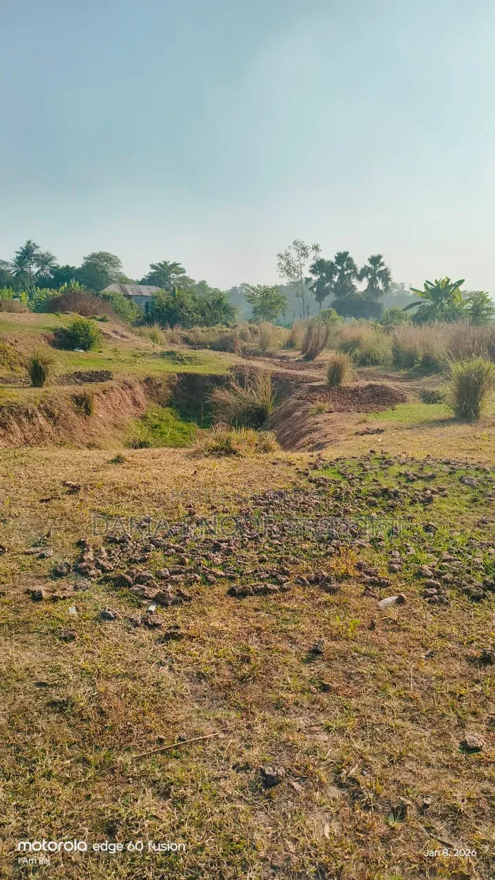 100 Bigha land for sale in Ward No. 41, Gazipur in Gazipur Sadar