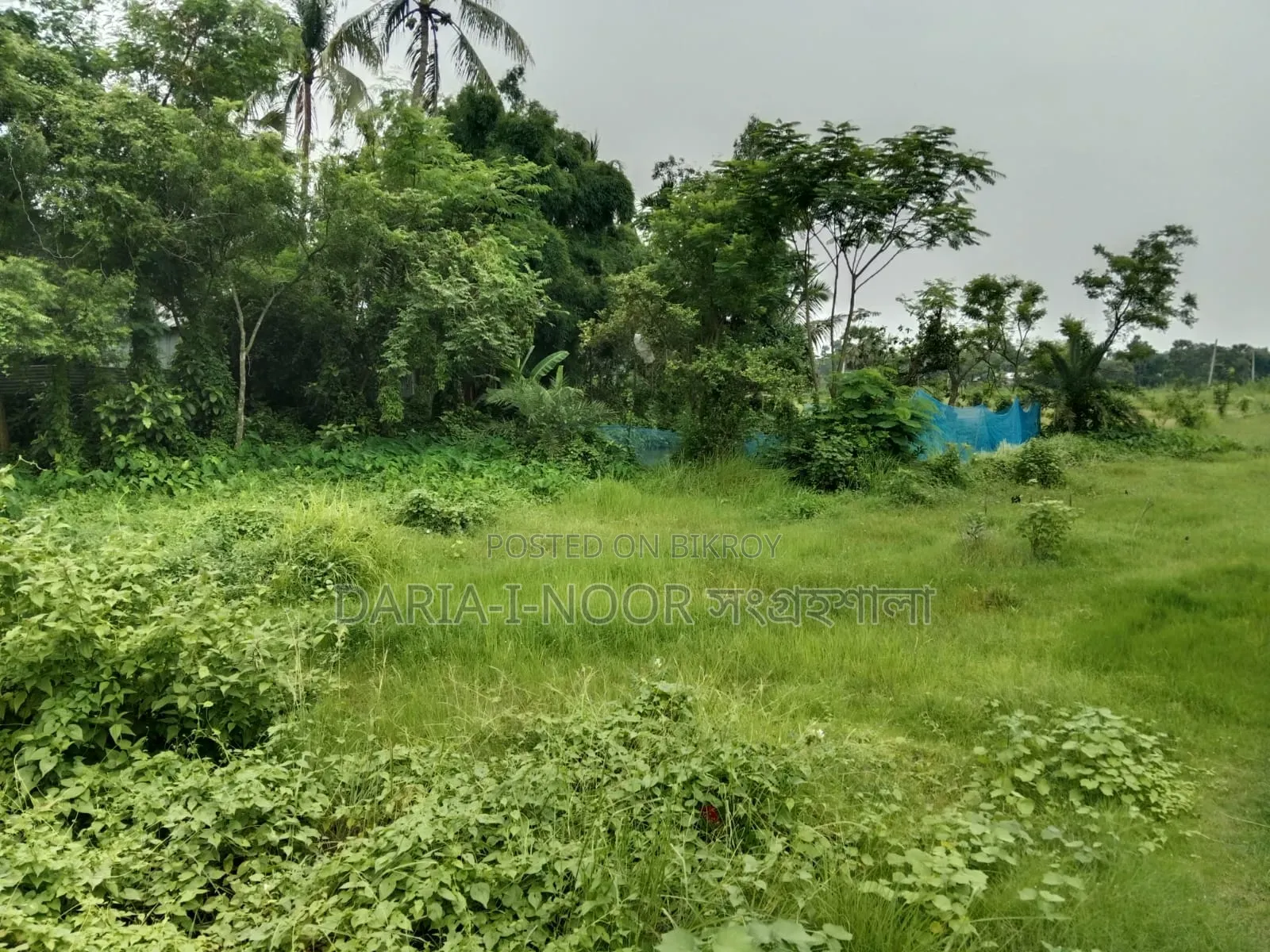 12 Bigha land for sale in one plot, Ward 29, Gazipur in Gazipur Sadar