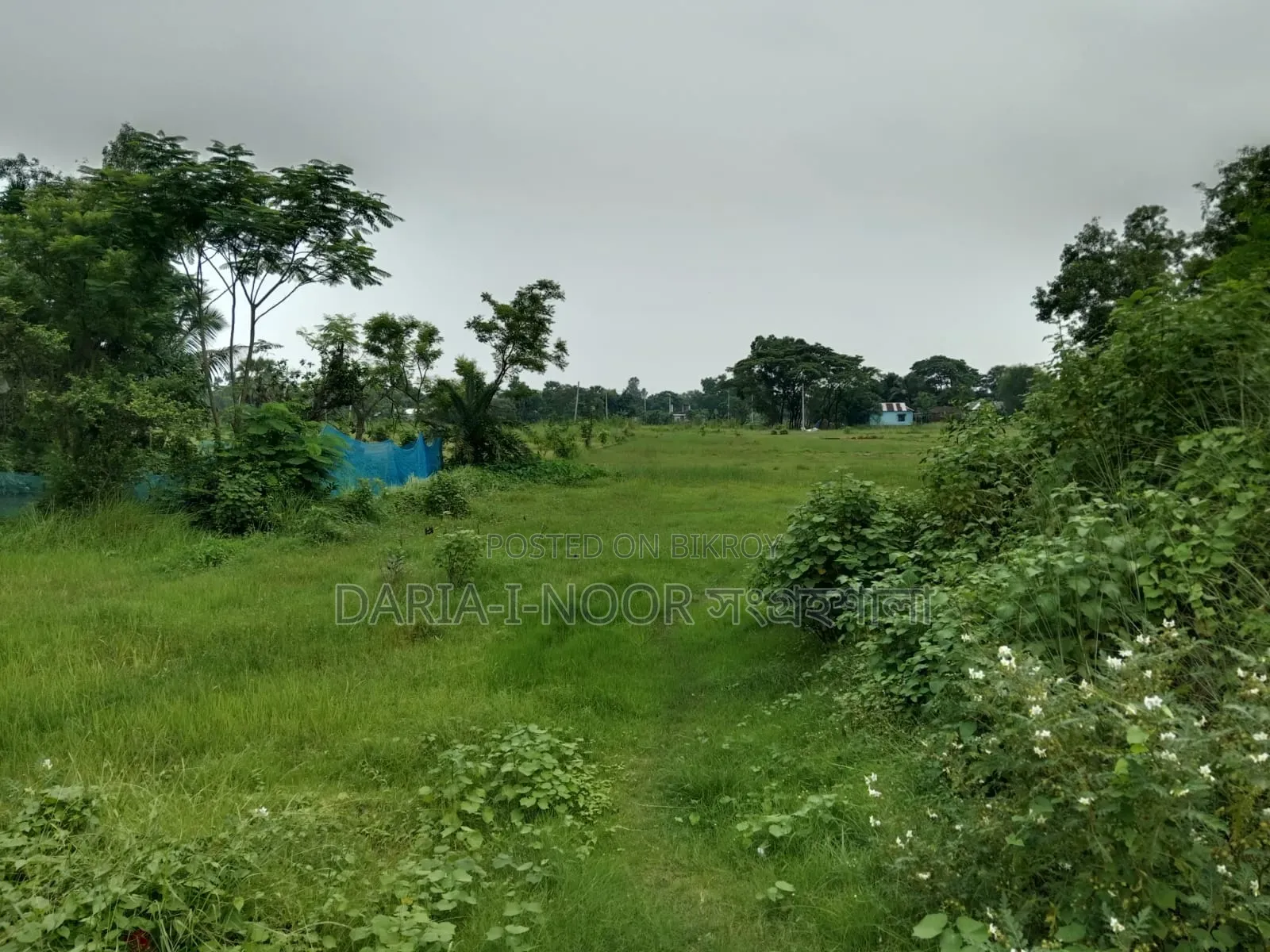 12 Bigha land for sale in one plot, Ward 29, Gazipur in Gazipur Sadar