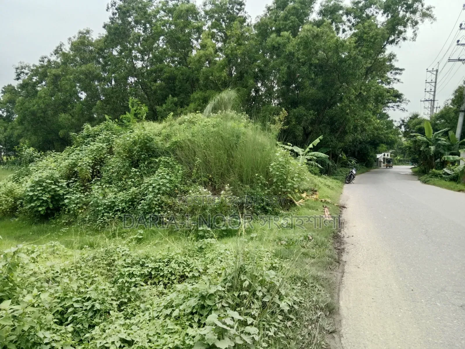 12 Bigha land for sale in one plot, Ward 29, Gazipur in Gazipur Sadar