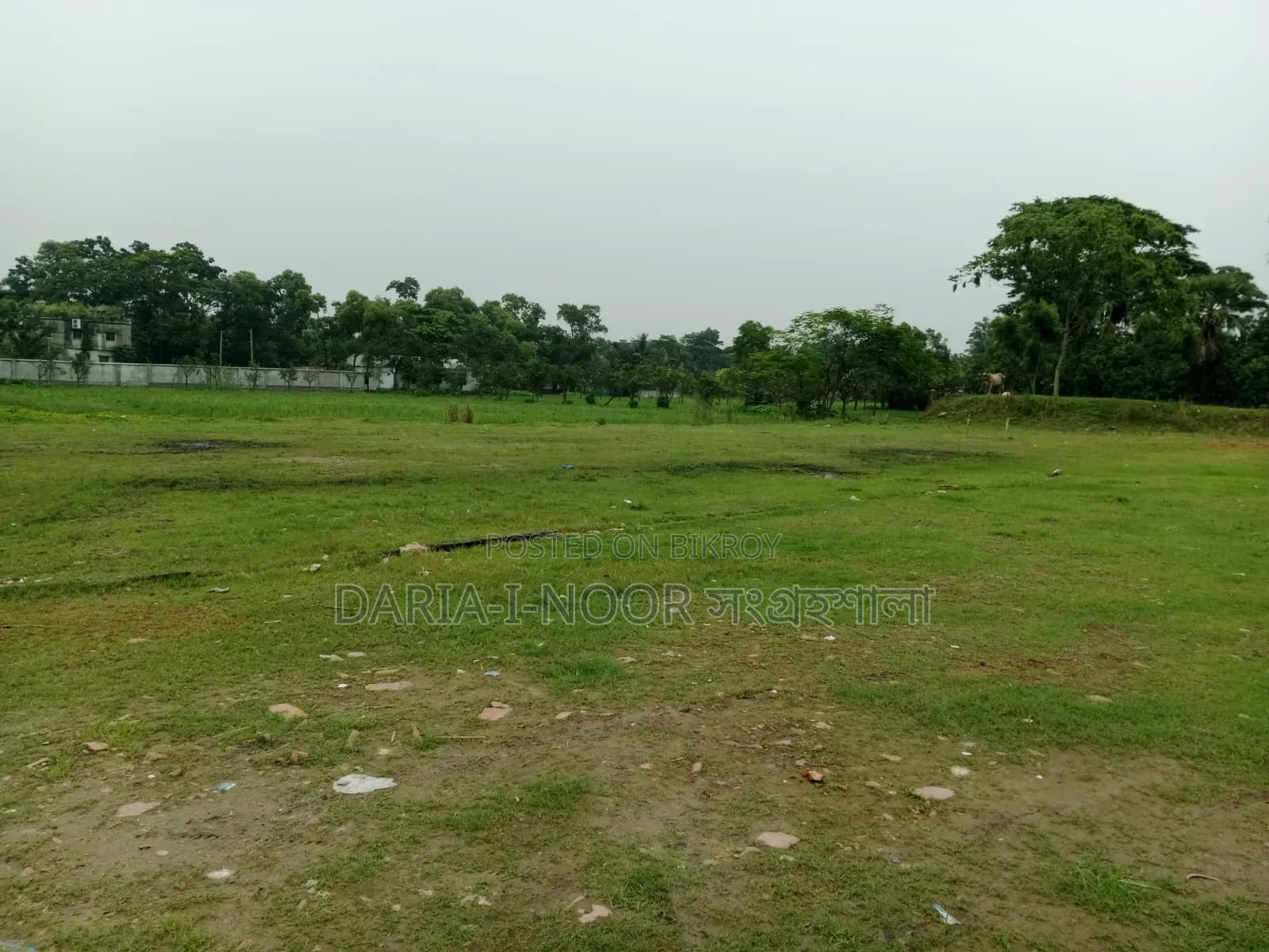 12 Bigha land for sale in one plot at Dhirasram Mouza, Gazipur in Gazipur Sadar