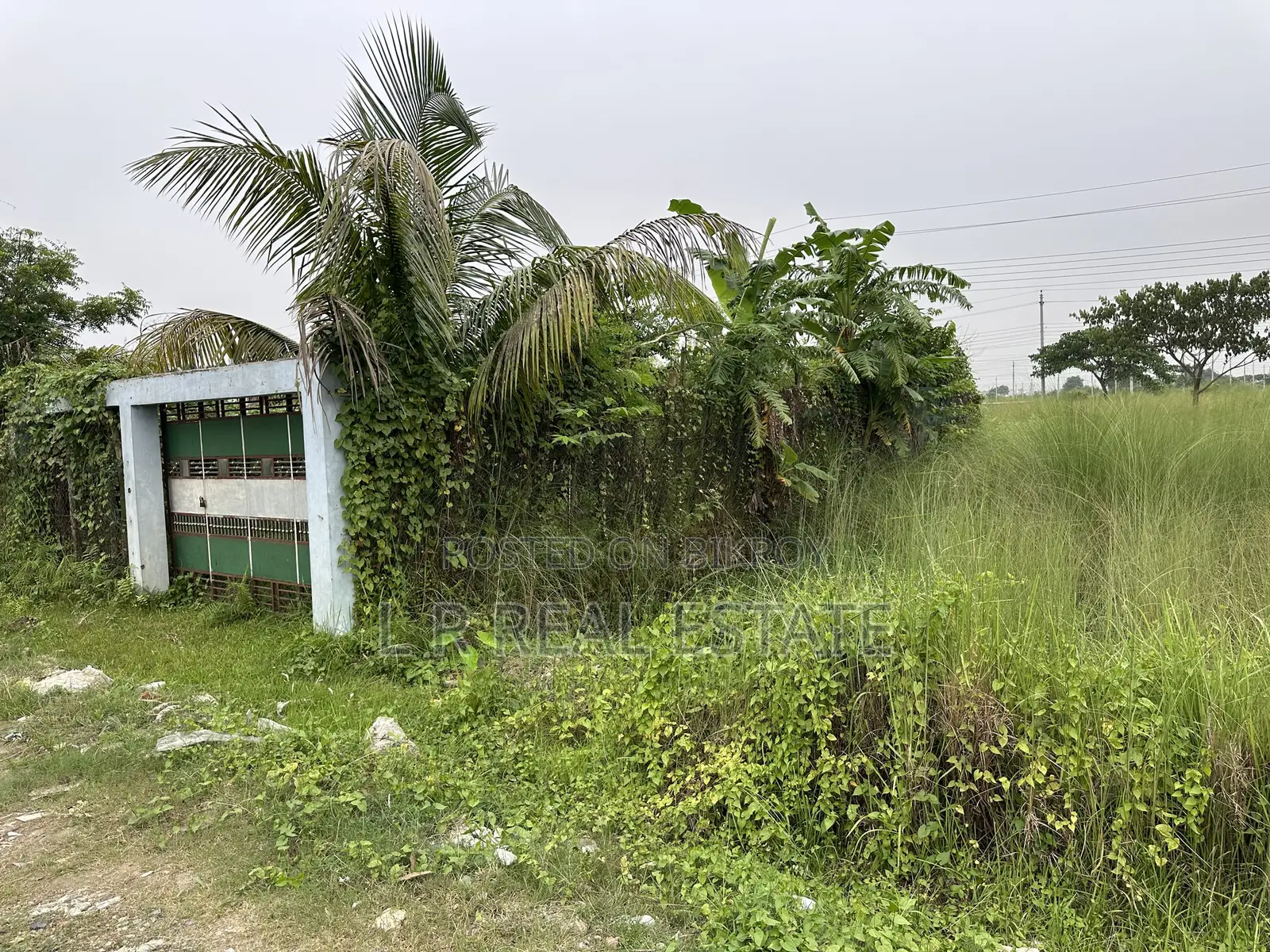 P-Block, (3+3)=6 Katha, Plot Urgent Sell, Bashundhara R/A in Bashundhara City