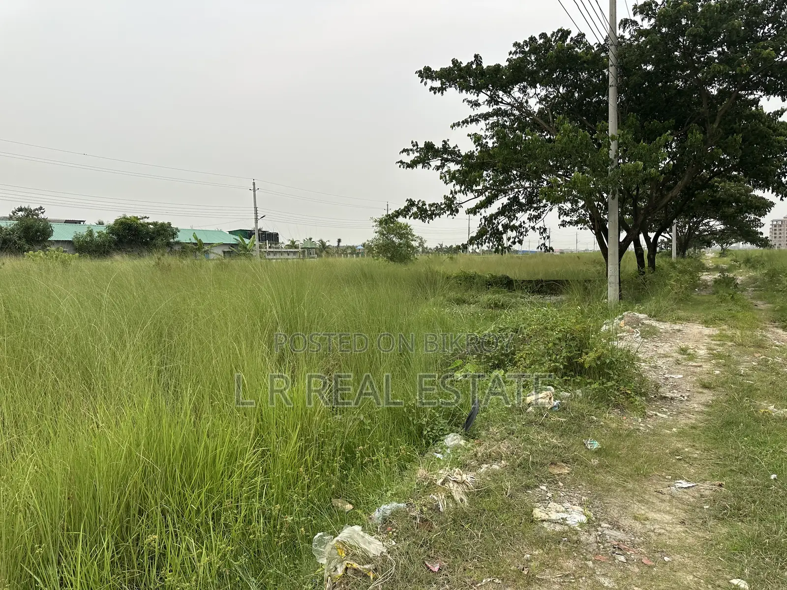 P-Block, (3+3)=6 Katha, Plot Urgent Sell, Bashundhara R/A in Bashundhara City