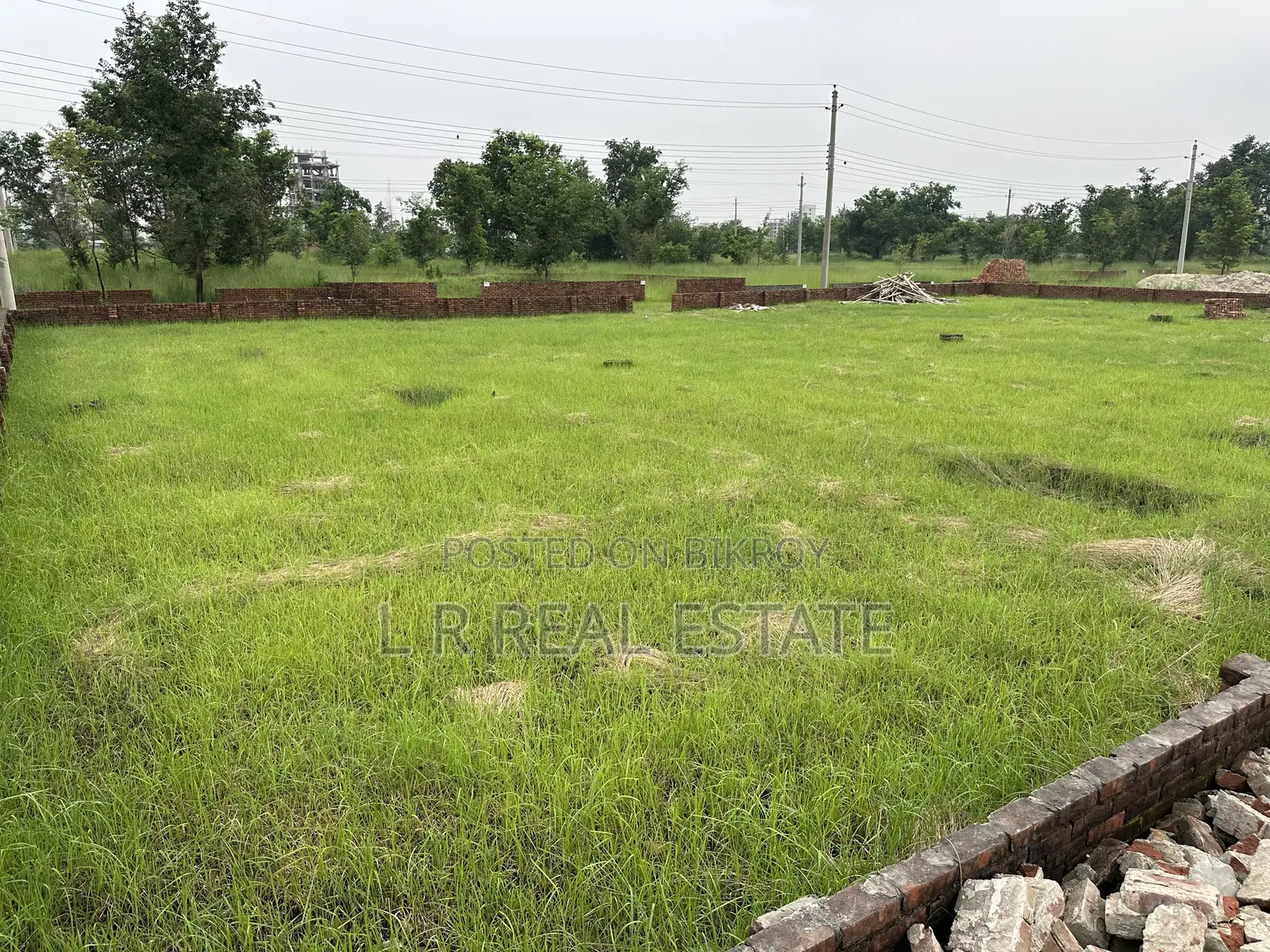 Block-M,(3x8)=24 Katha,South-Face, Near- 200'road,Bashundhara R/A in Bashundhara City