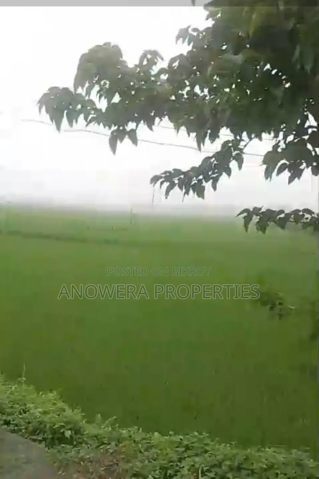 Agricultural land for sale. in Uttara